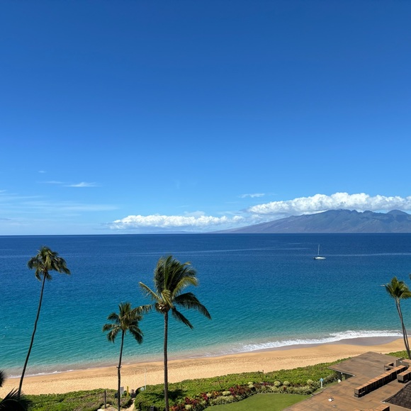 Meet your Posher, Angelina - Picture 14 of 14